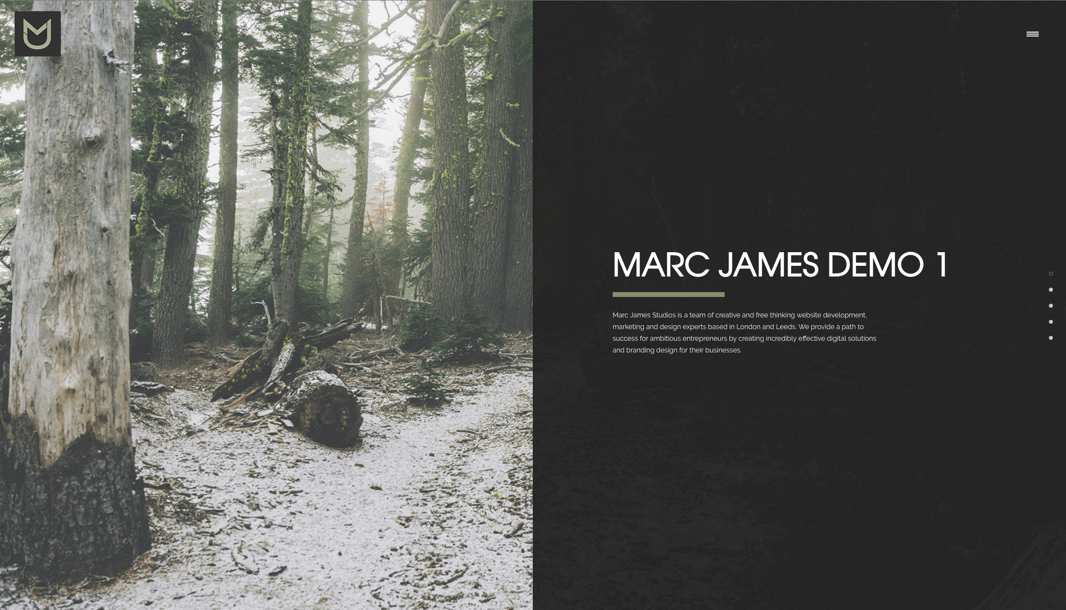DEMO WEBSITE DESIGN