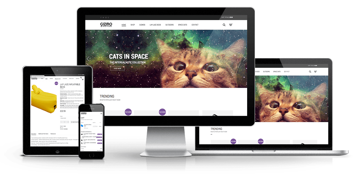 Gizmo Website Design